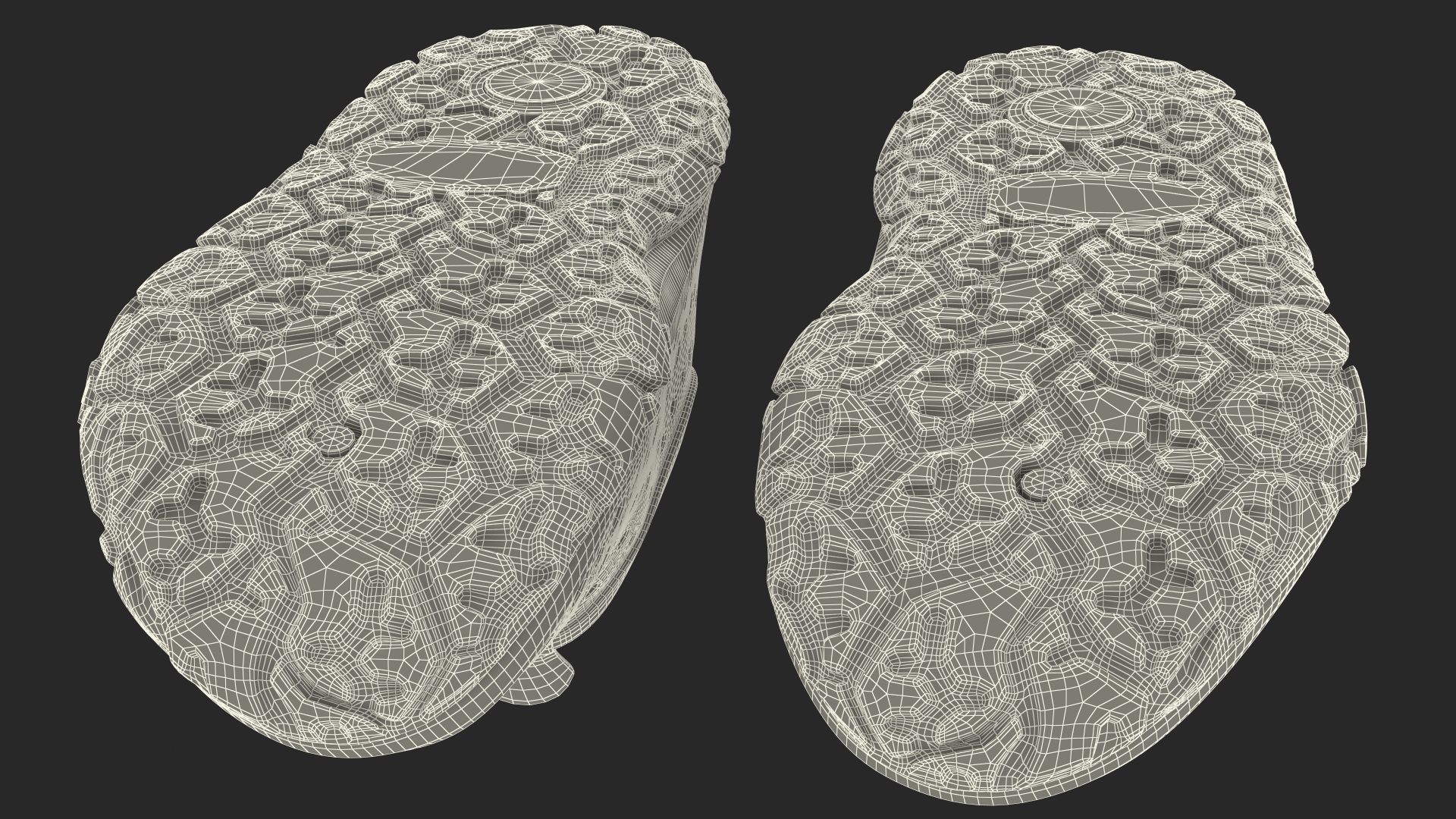 3D Water Shoes Transparent model