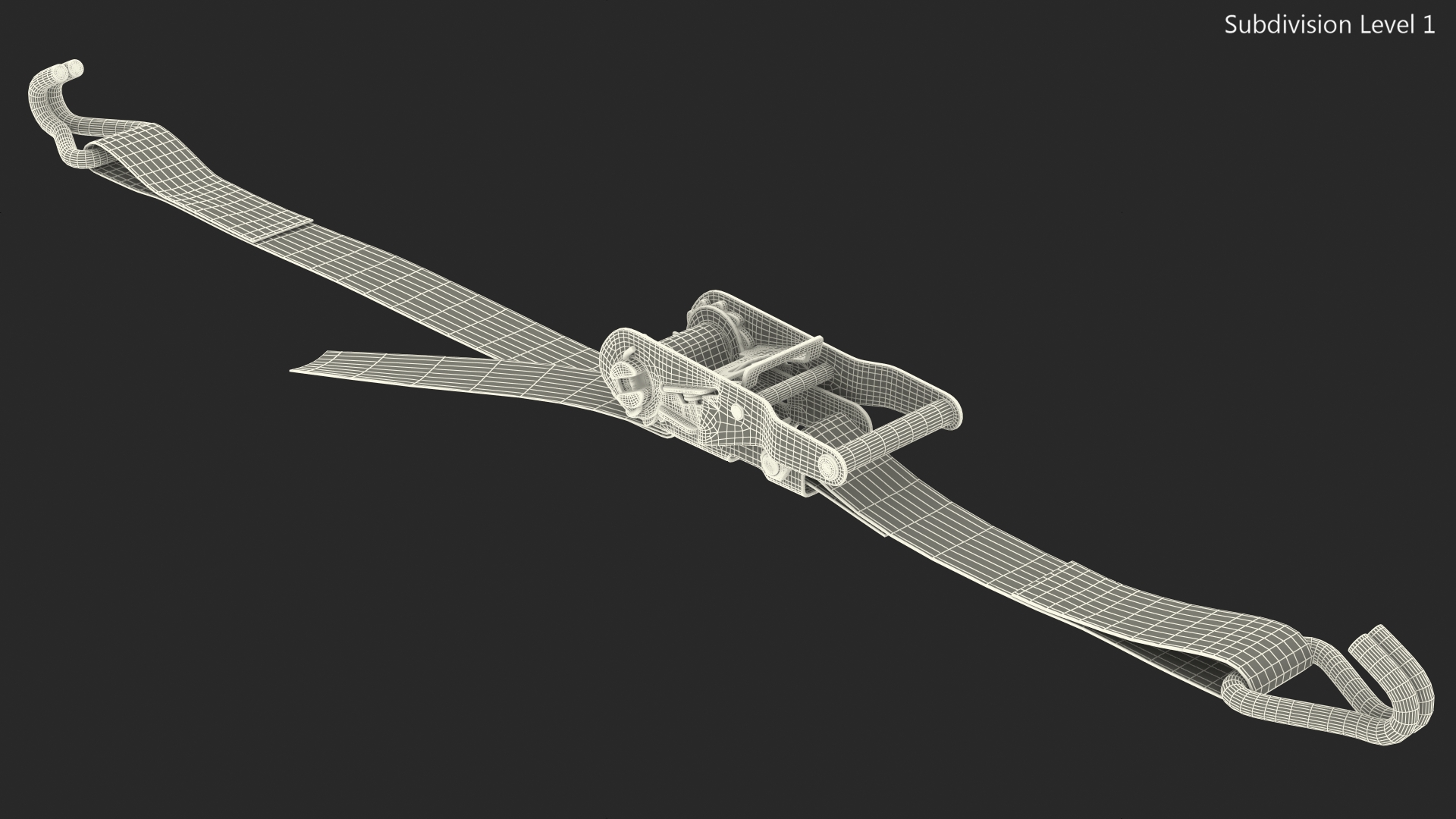Ratchet Strap Fastened 3D