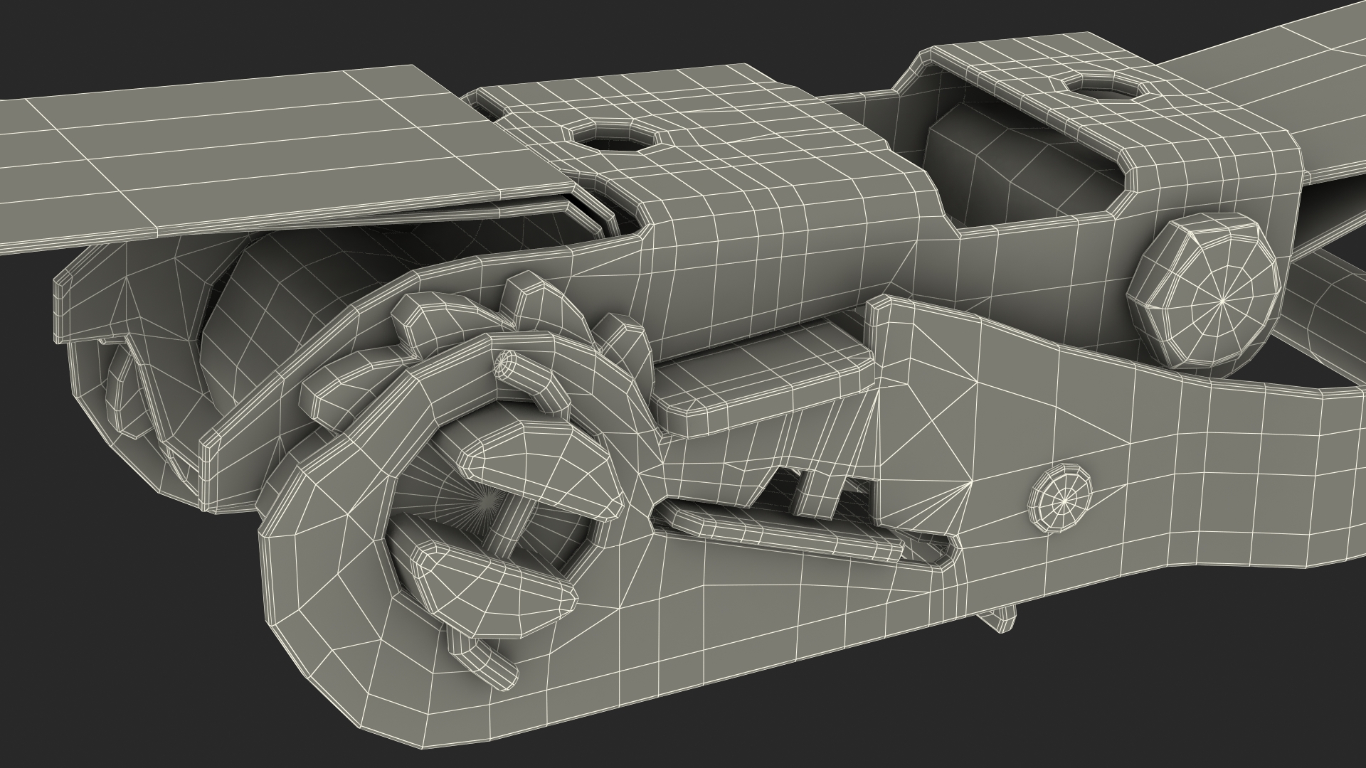 Ratchet Strap Fastened 3D