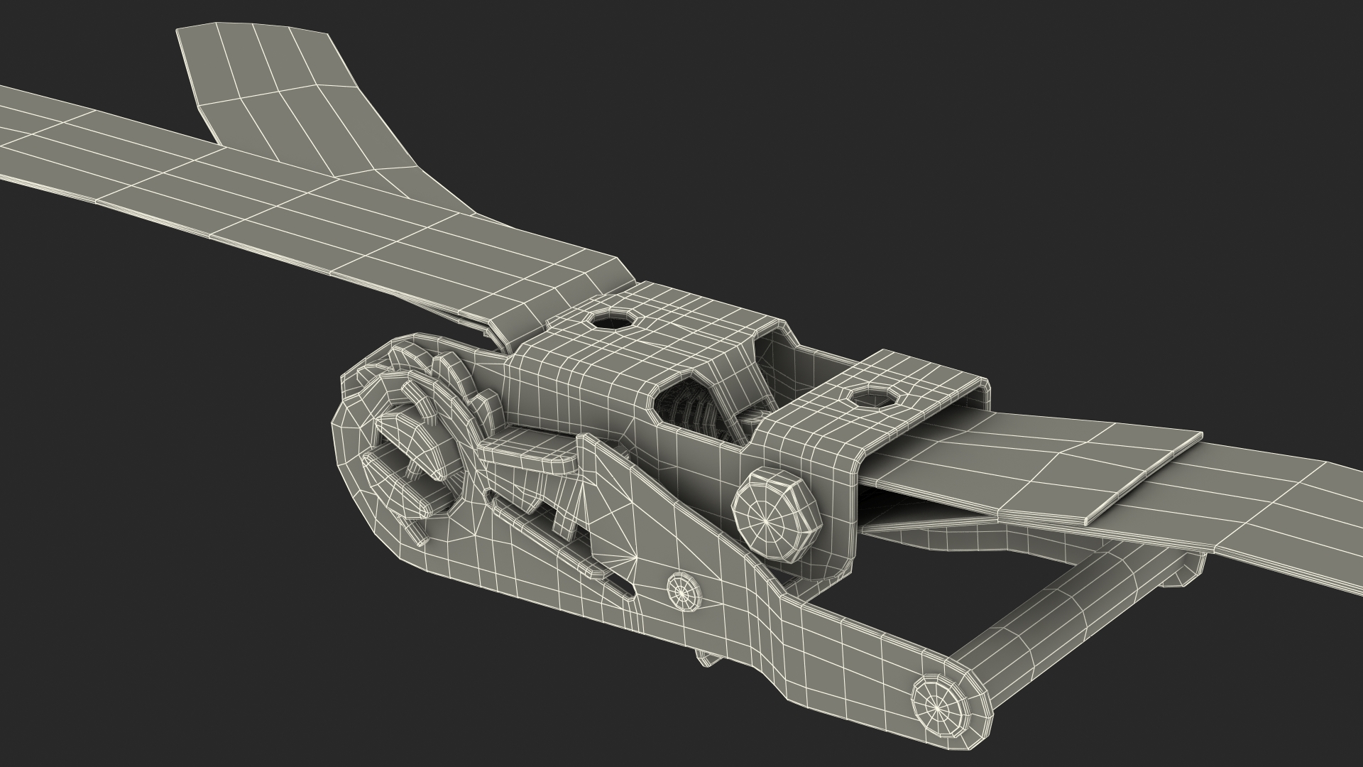 Ratchet Strap Fastened 3D
