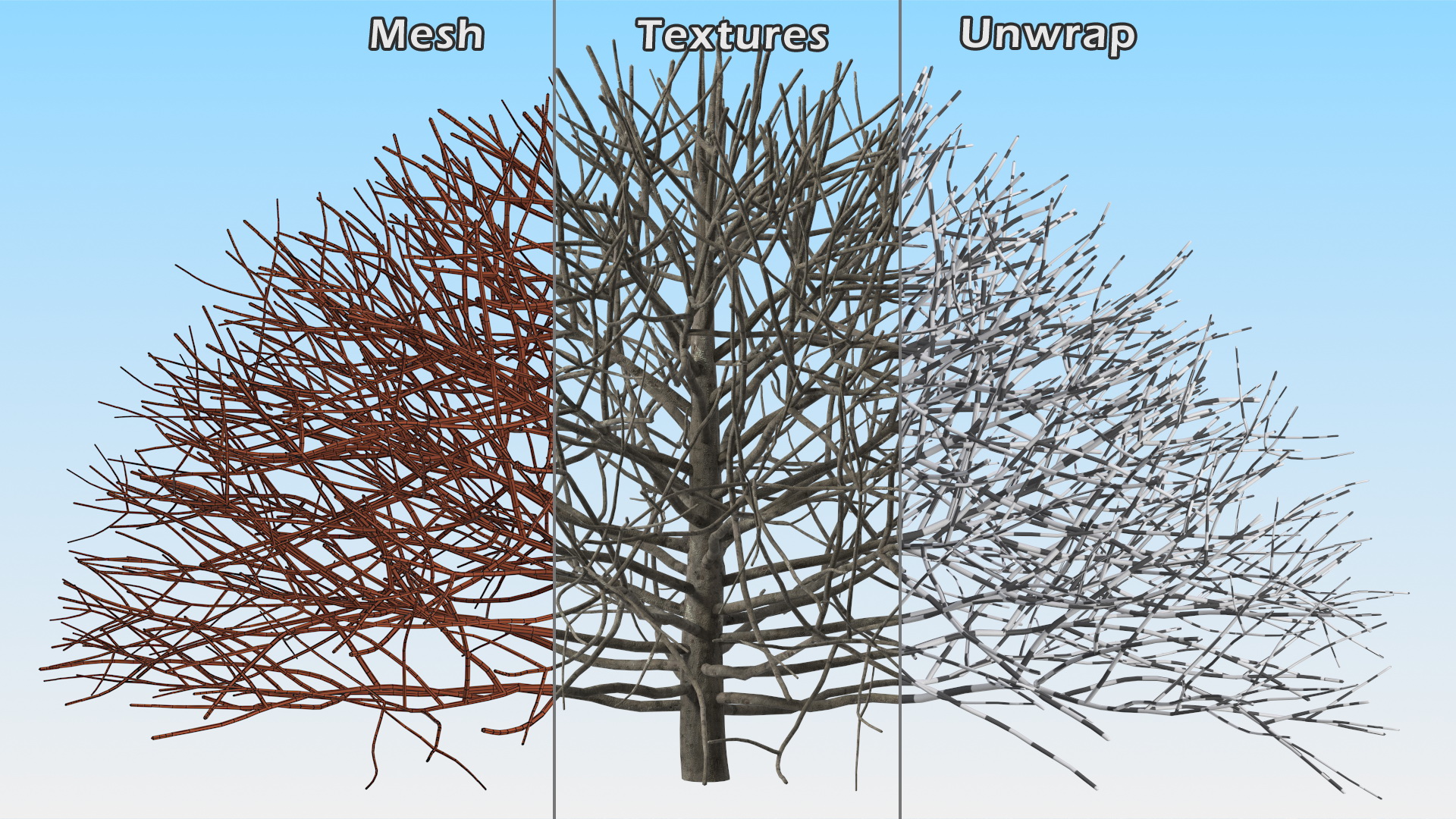 3D model Bark Shrub