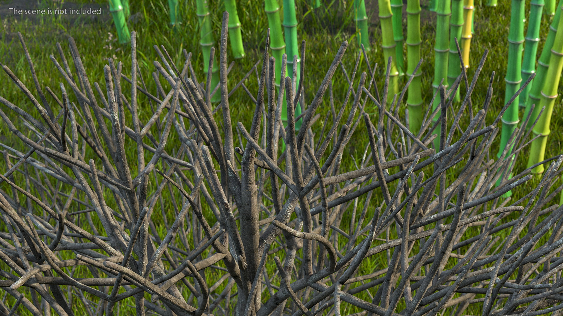 3D model Bark Shrub