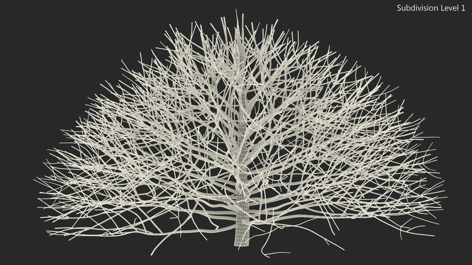 3D model Bark Shrub