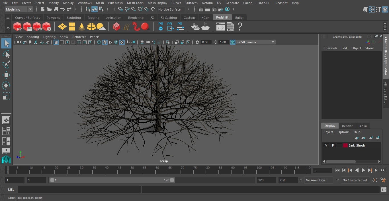 3D model Bark Shrub