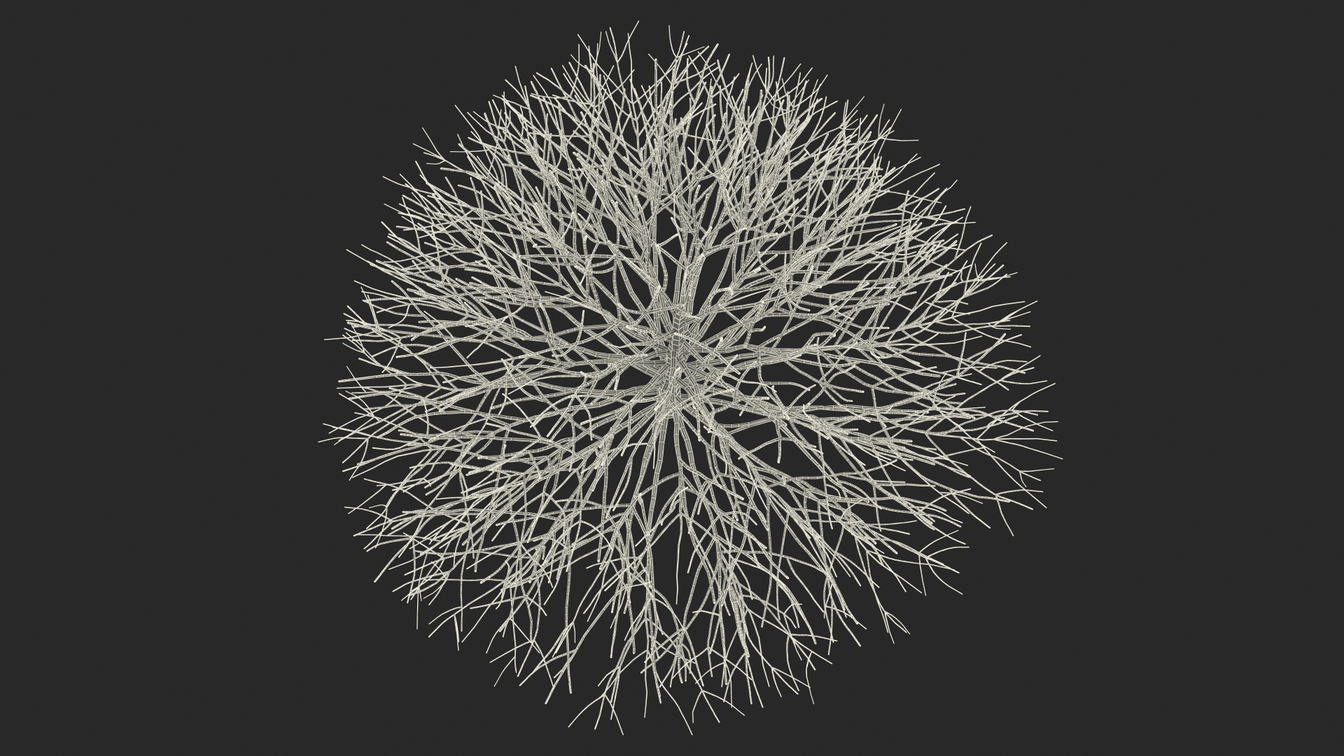 3D model Bark Shrub