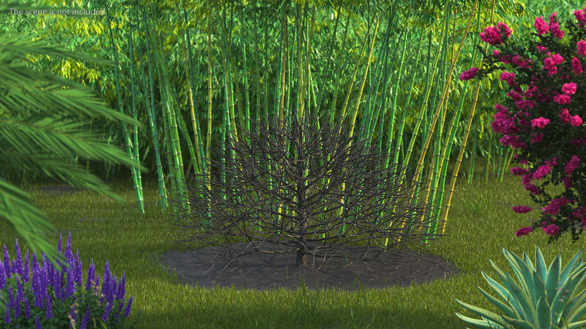3D model Bark Shrub