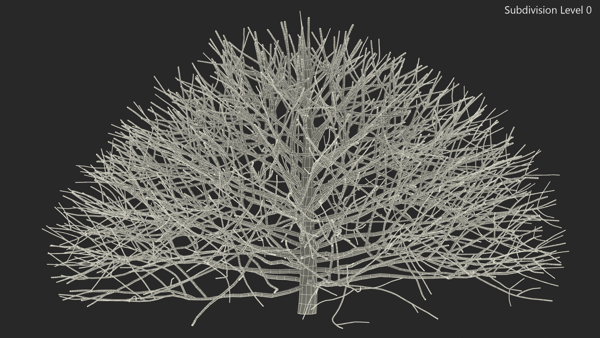 3D model Bark Shrub