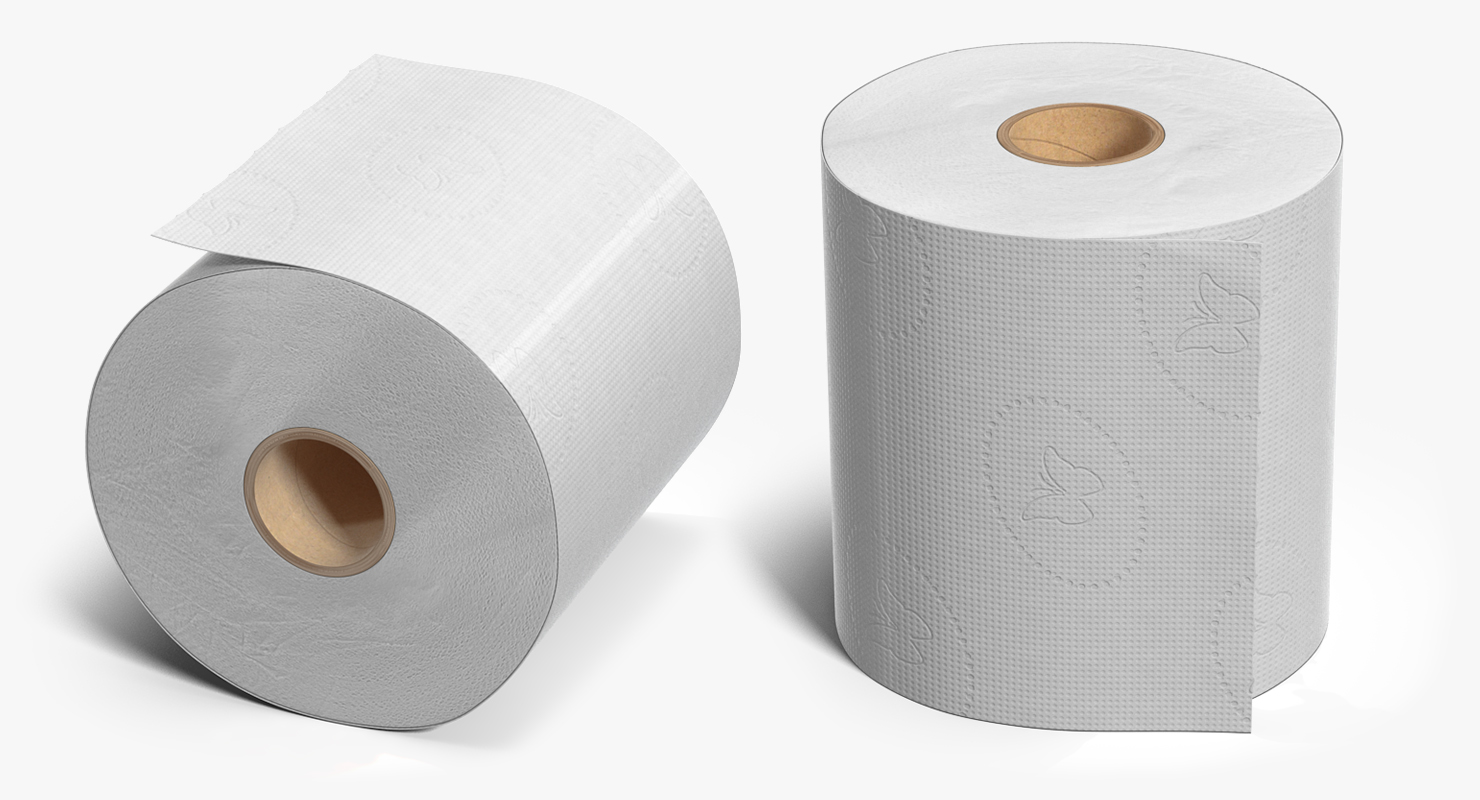 3D model Toilet Paper Holder with Paper