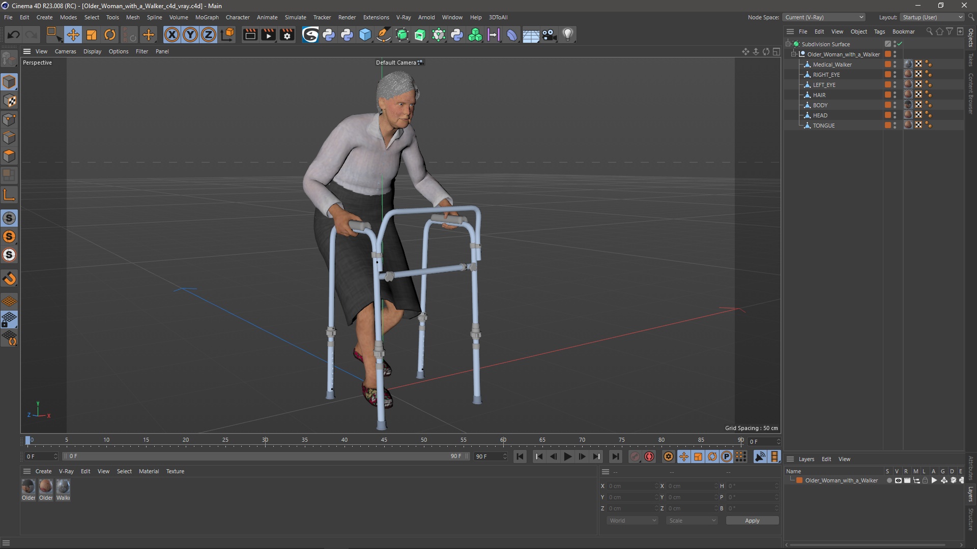 3D model Older Woman with a Walker