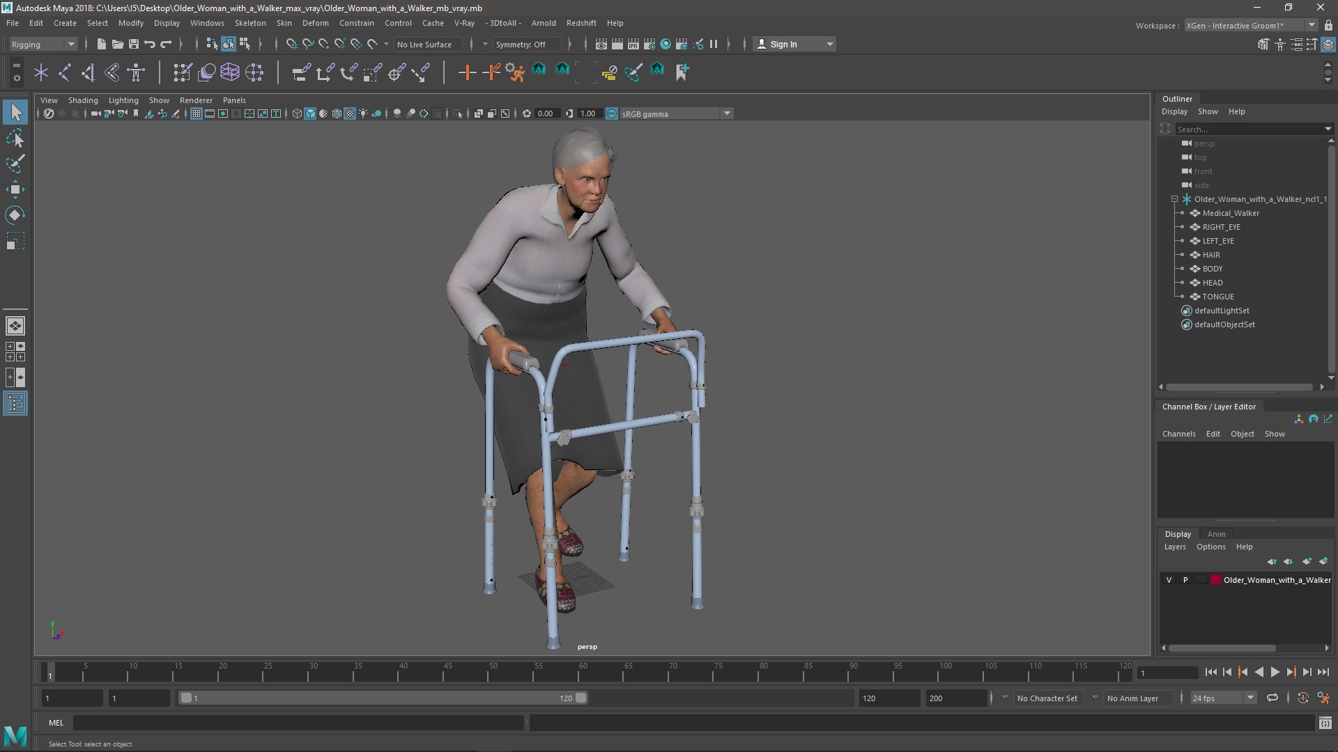 3D model Older Woman with a Walker