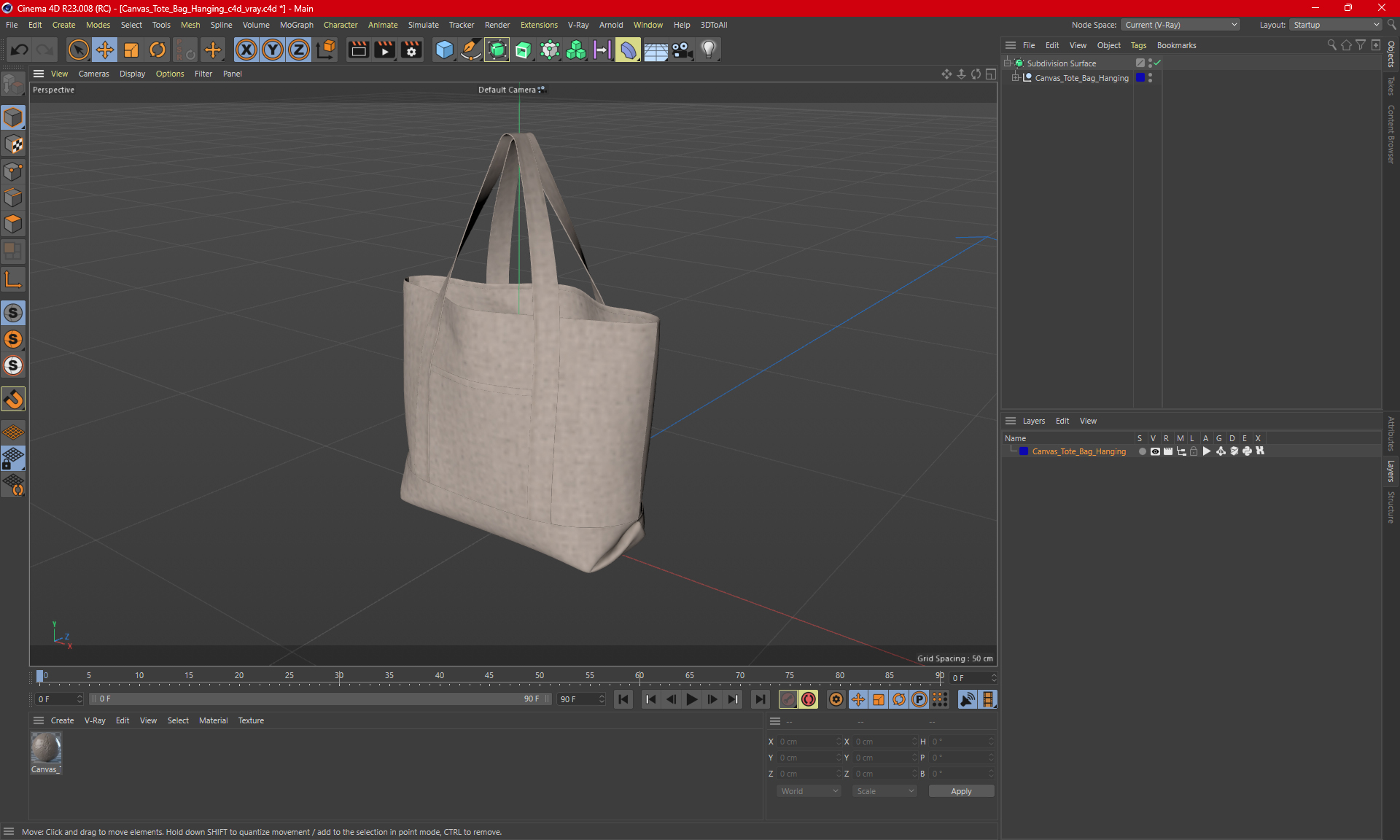 3D Canvas Tote Bag Hanging model