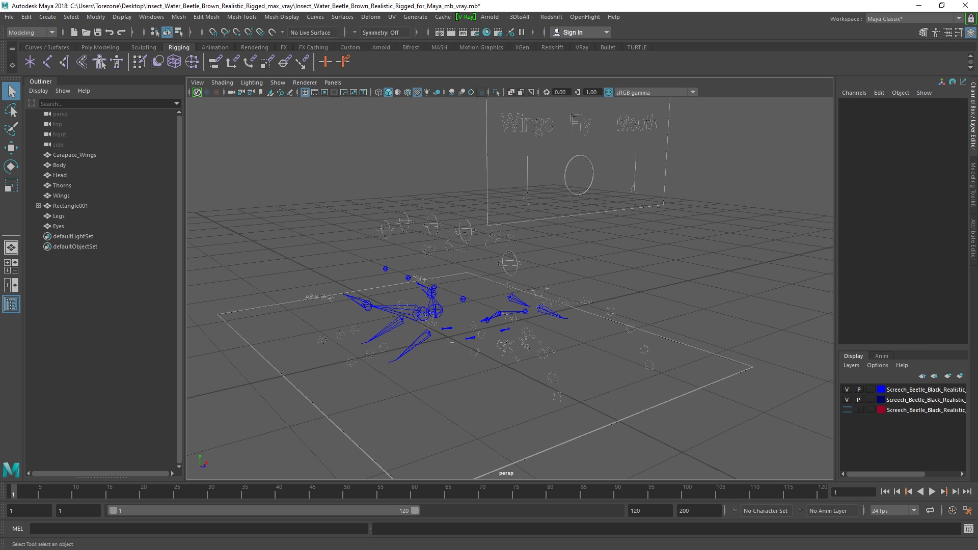 3D Insect Water Beetle Brown Realistic Rigged for Maya