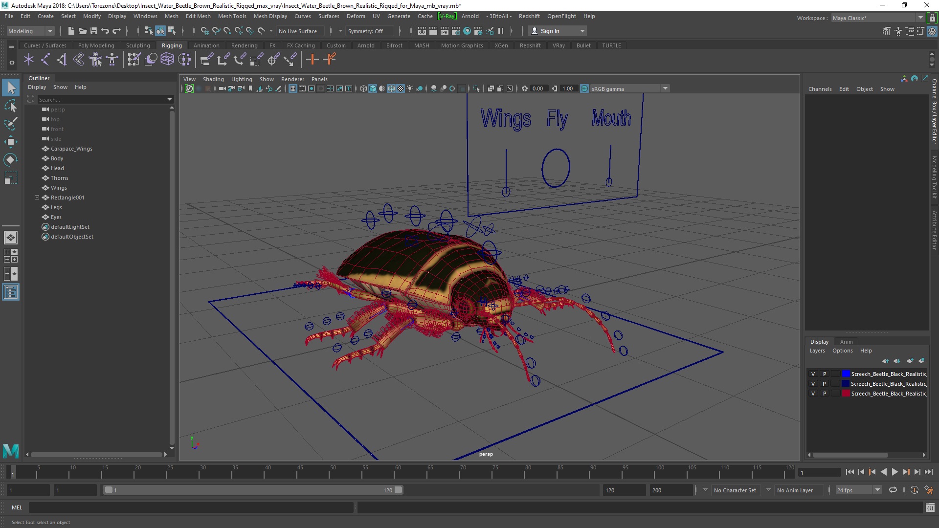 3D Insect Water Beetle Brown Realistic Rigged for Maya