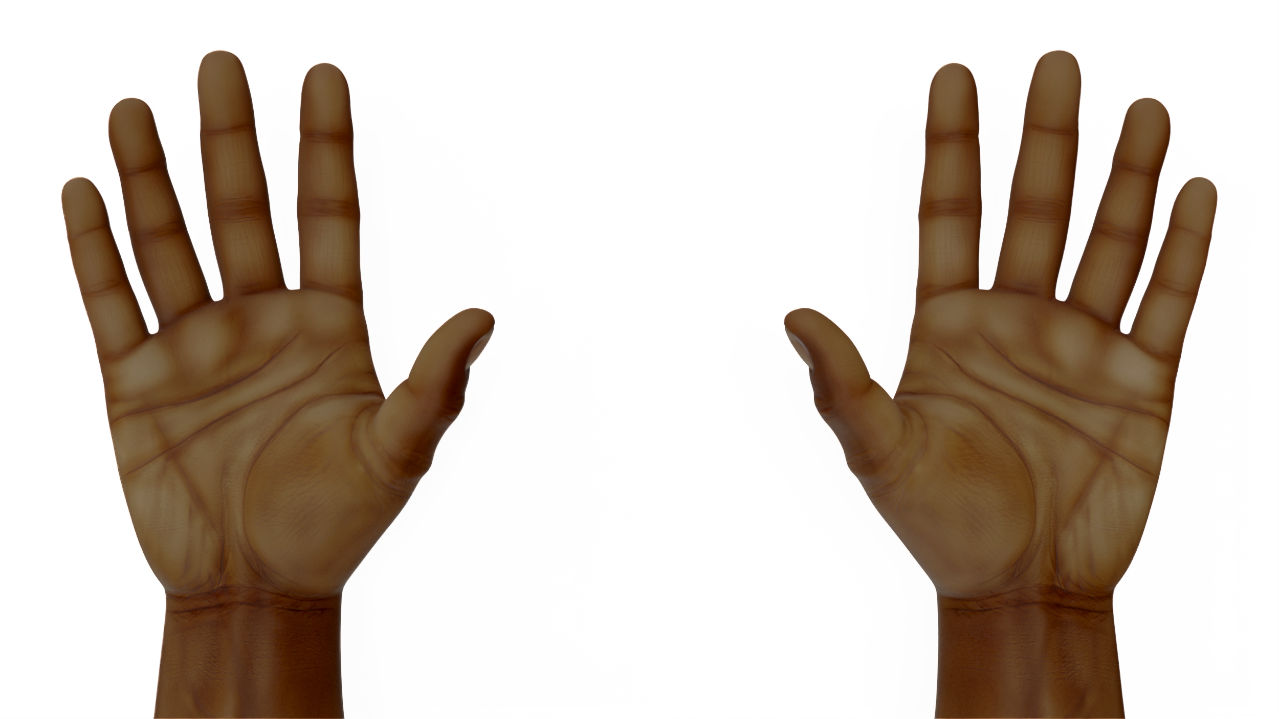 3D model Afro American Man Hands Rigged