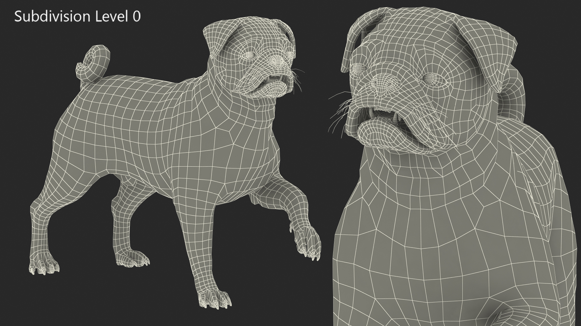 3D Pug Dog Fur Rigged model