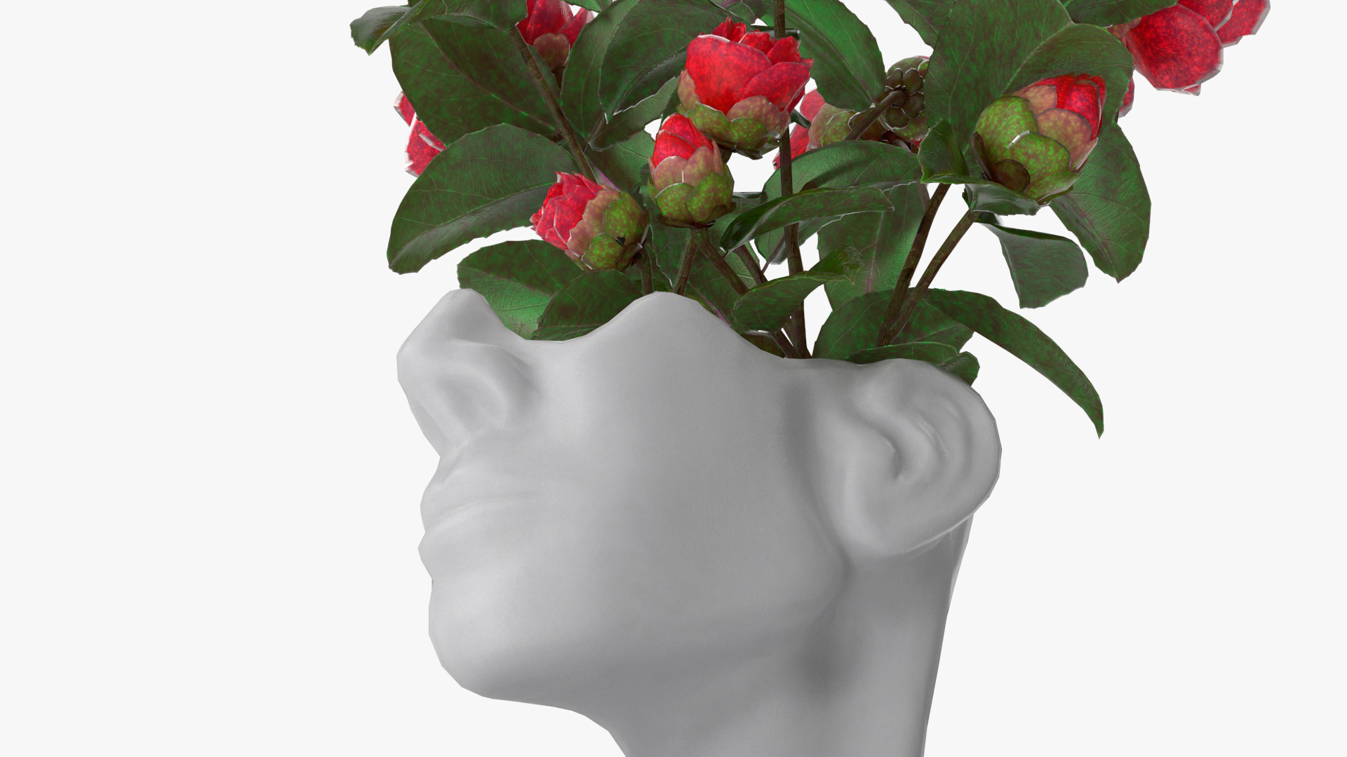 3D Vase Bust Head Shaped White with Camellia