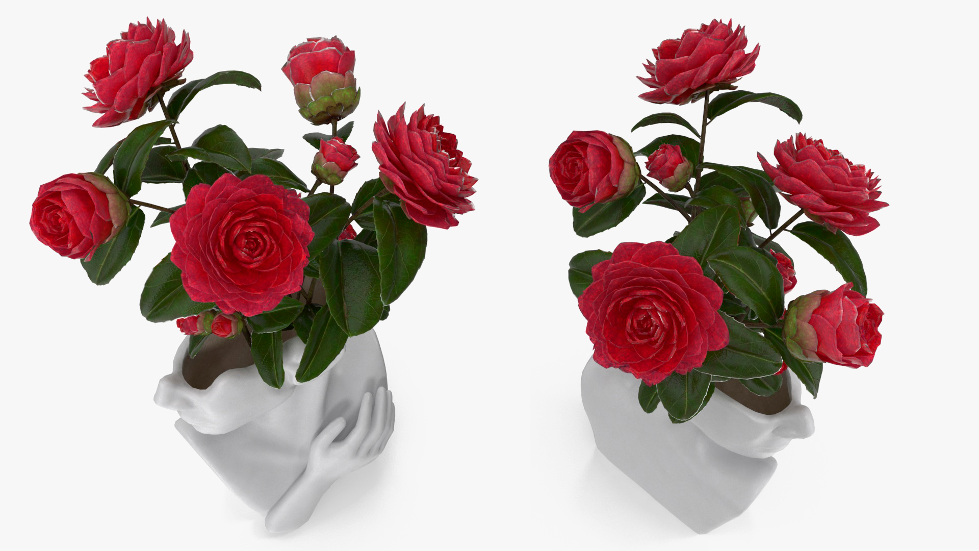 3D Vase Bust Head Shaped White with Camellia