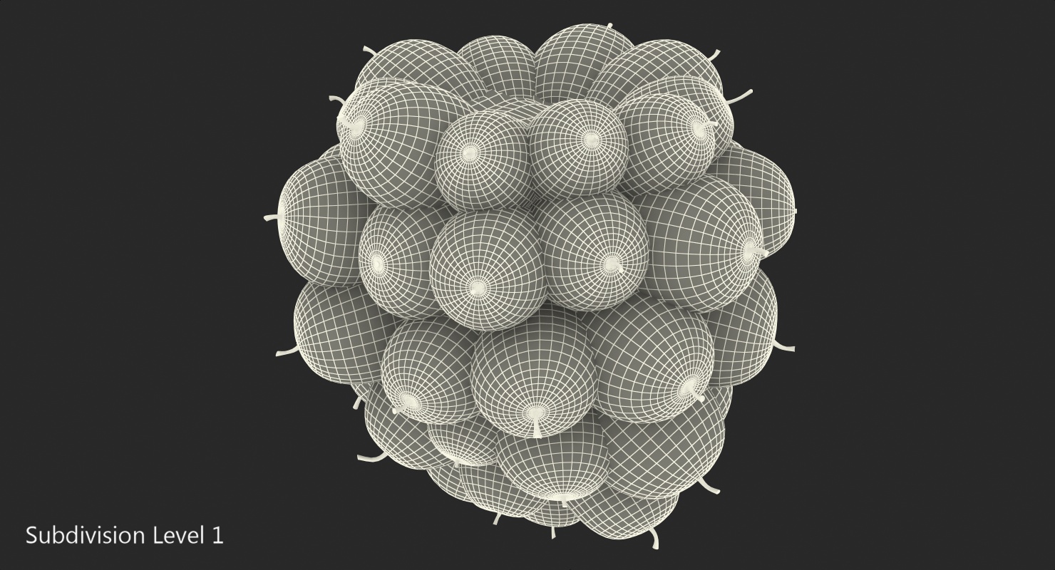 3D Blackberry Fruit