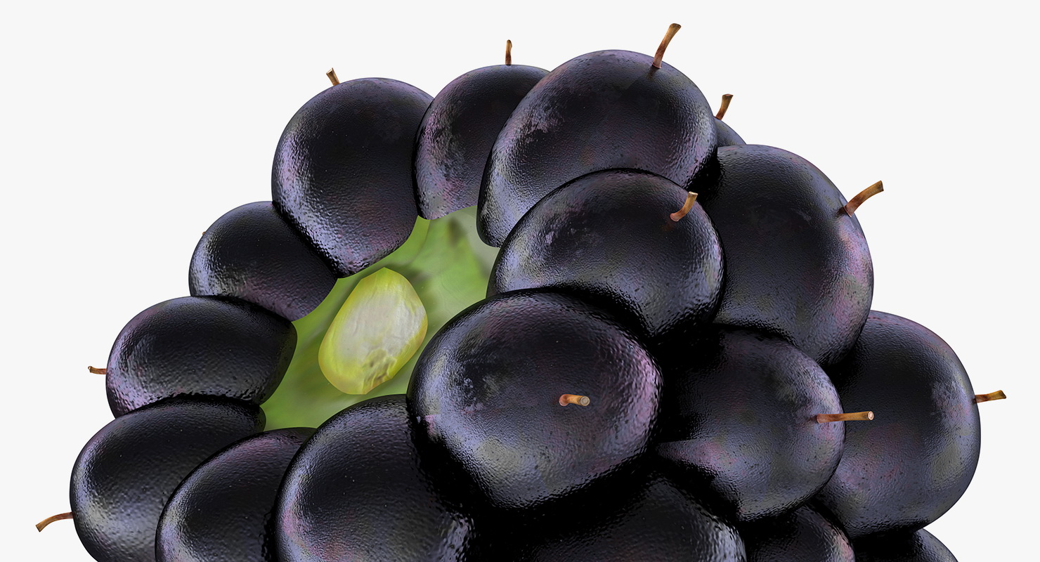 3D Blackberry Fruit