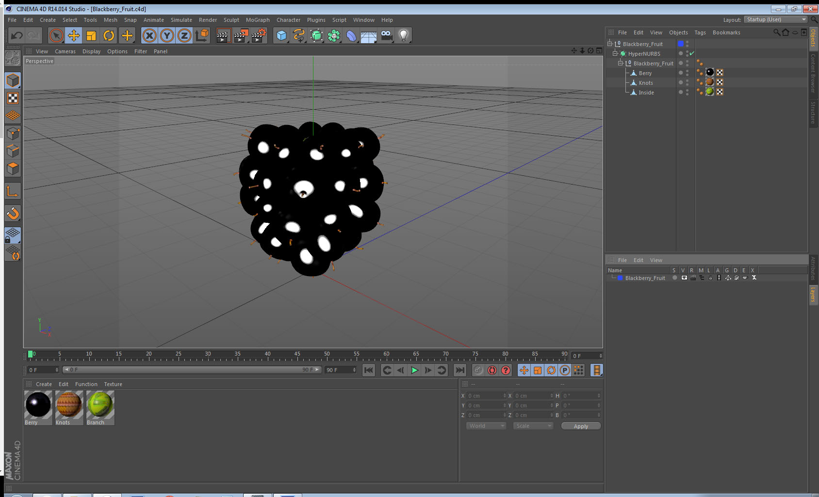 3D Blackberry Fruit