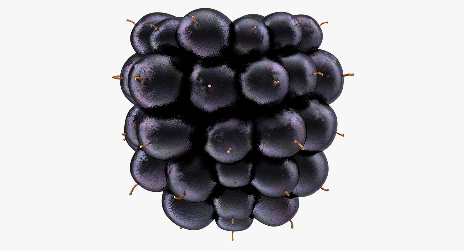 3D Blackberry Fruit
