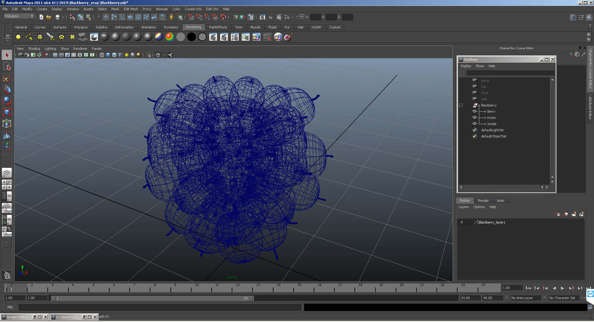 3D Blackberry Fruit