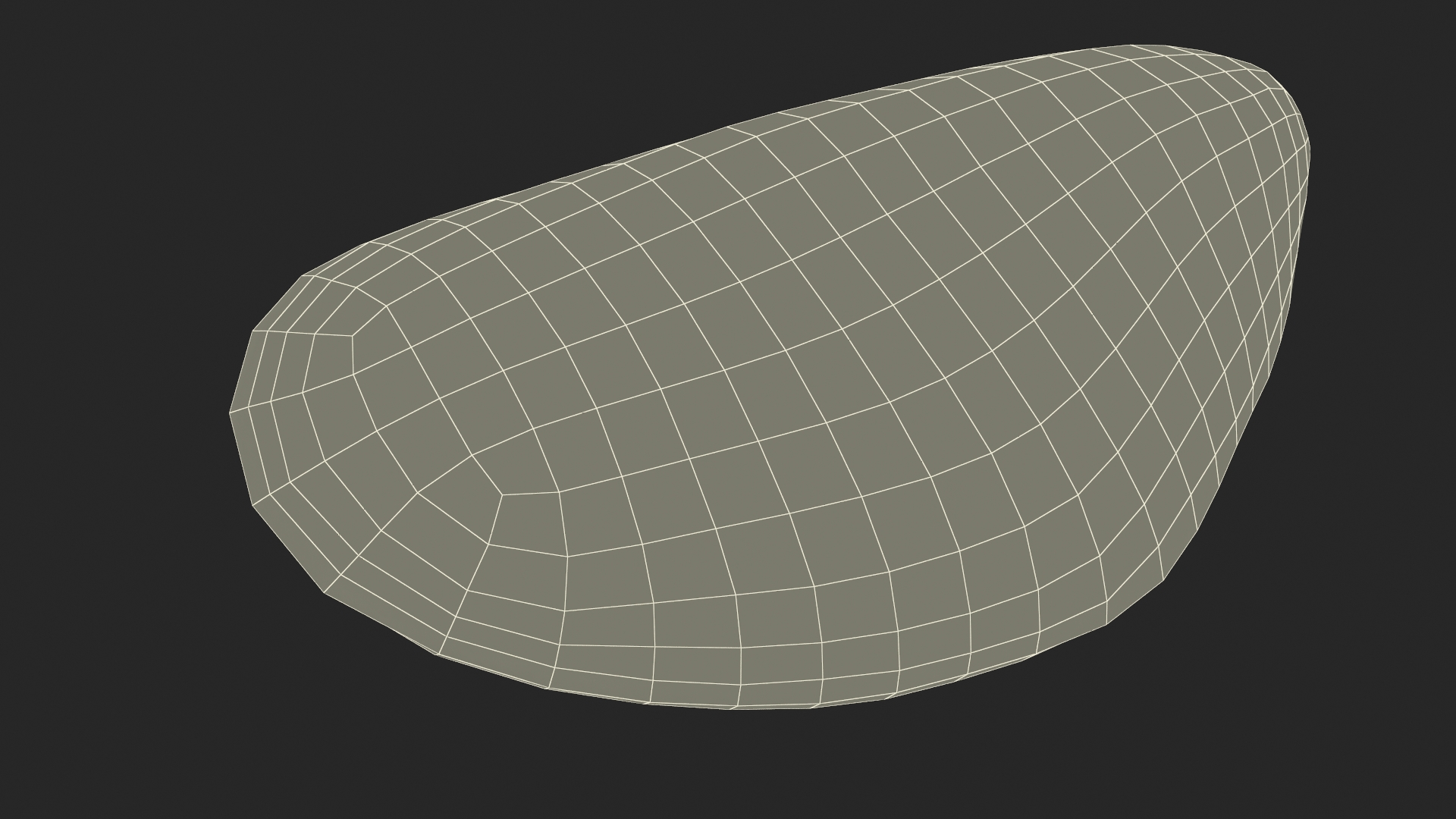 Realistic Marine Mussel Shell 3D model