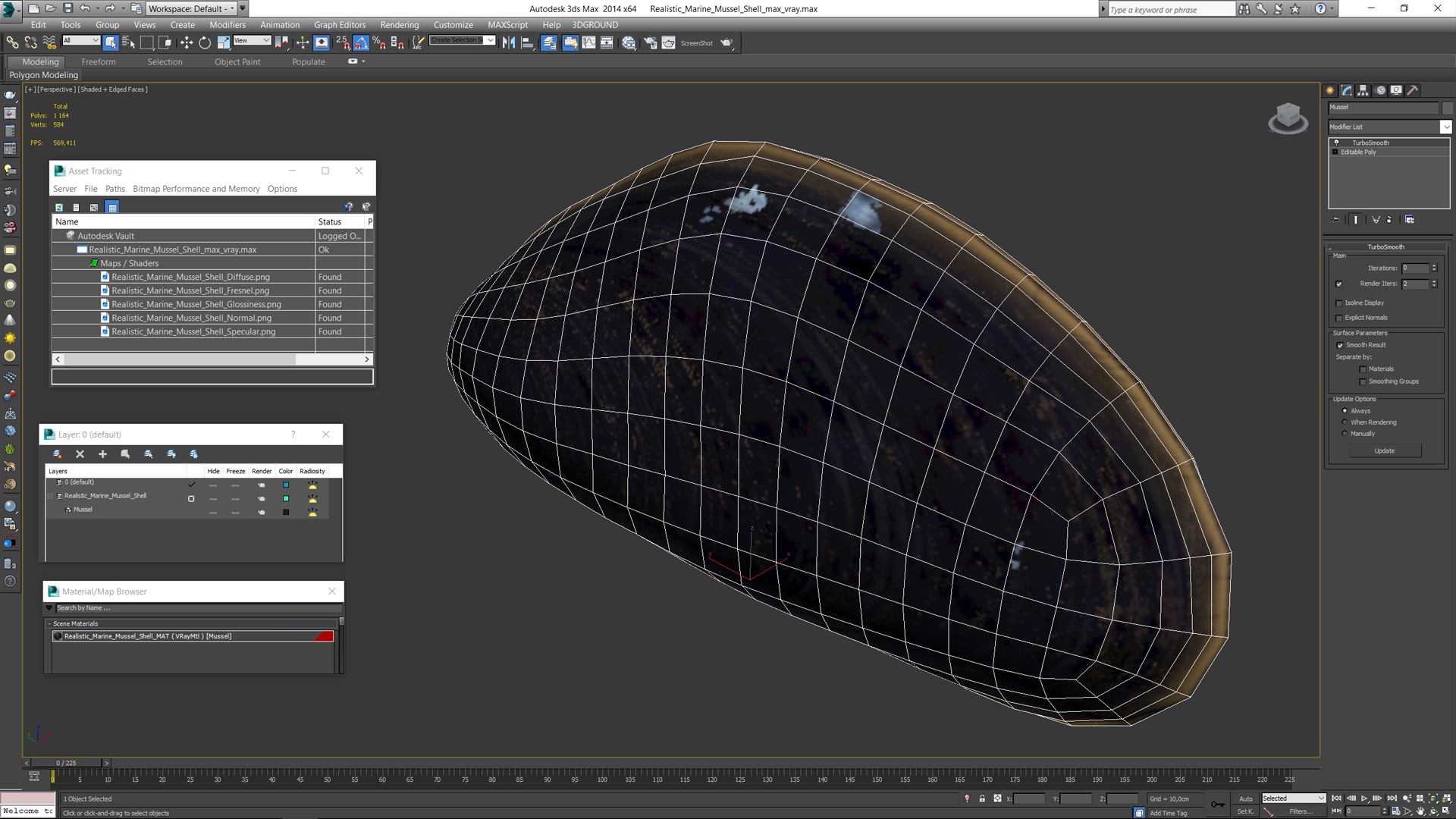 Realistic Marine Mussel Shell 3D model