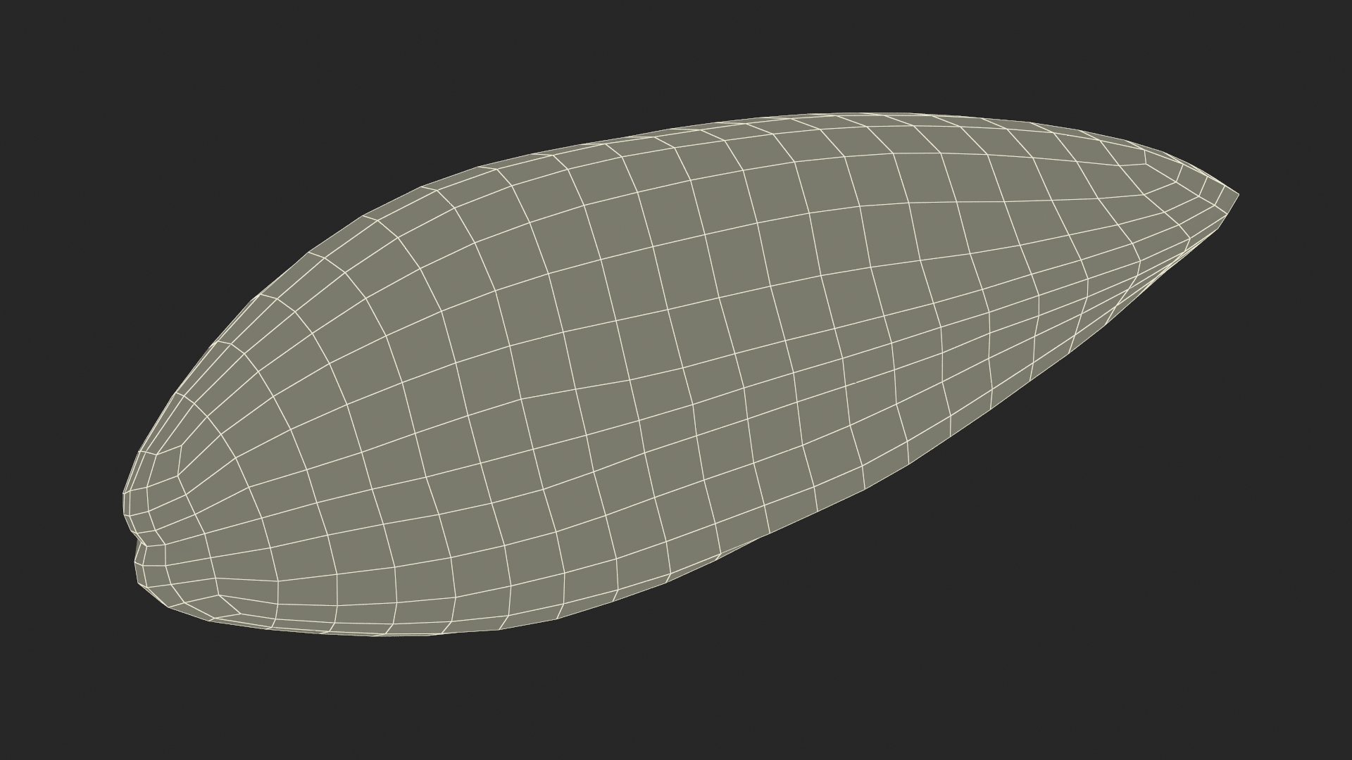 Realistic Marine Mussel Shell 3D model