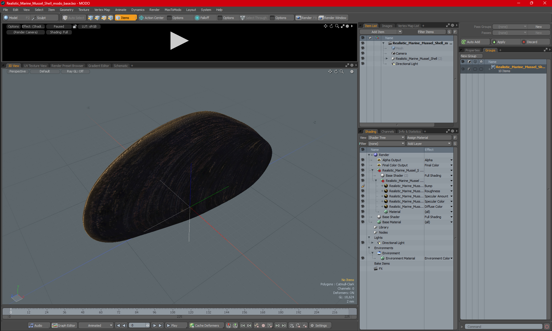 Realistic Marine Mussel Shell 3D model