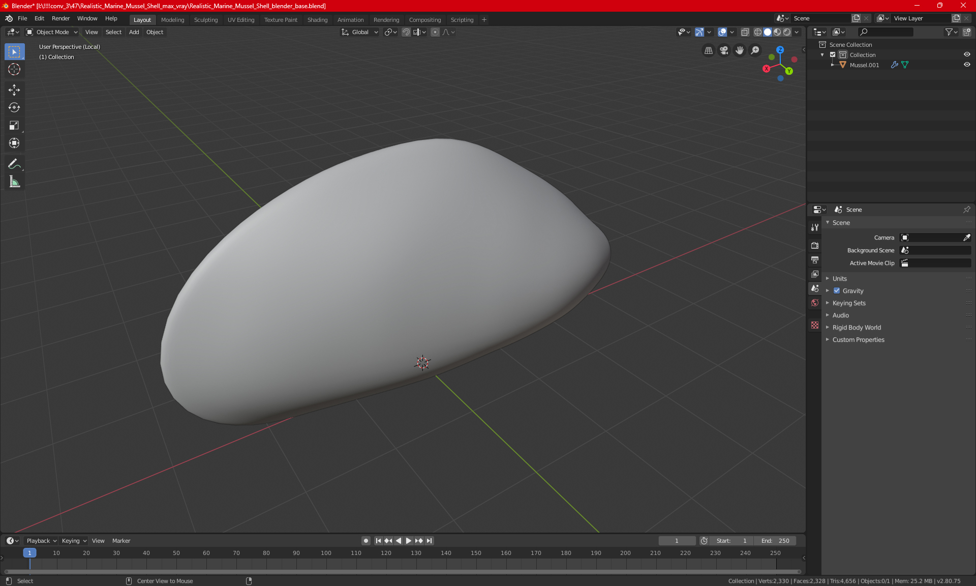 Realistic Marine Mussel Shell 3D model