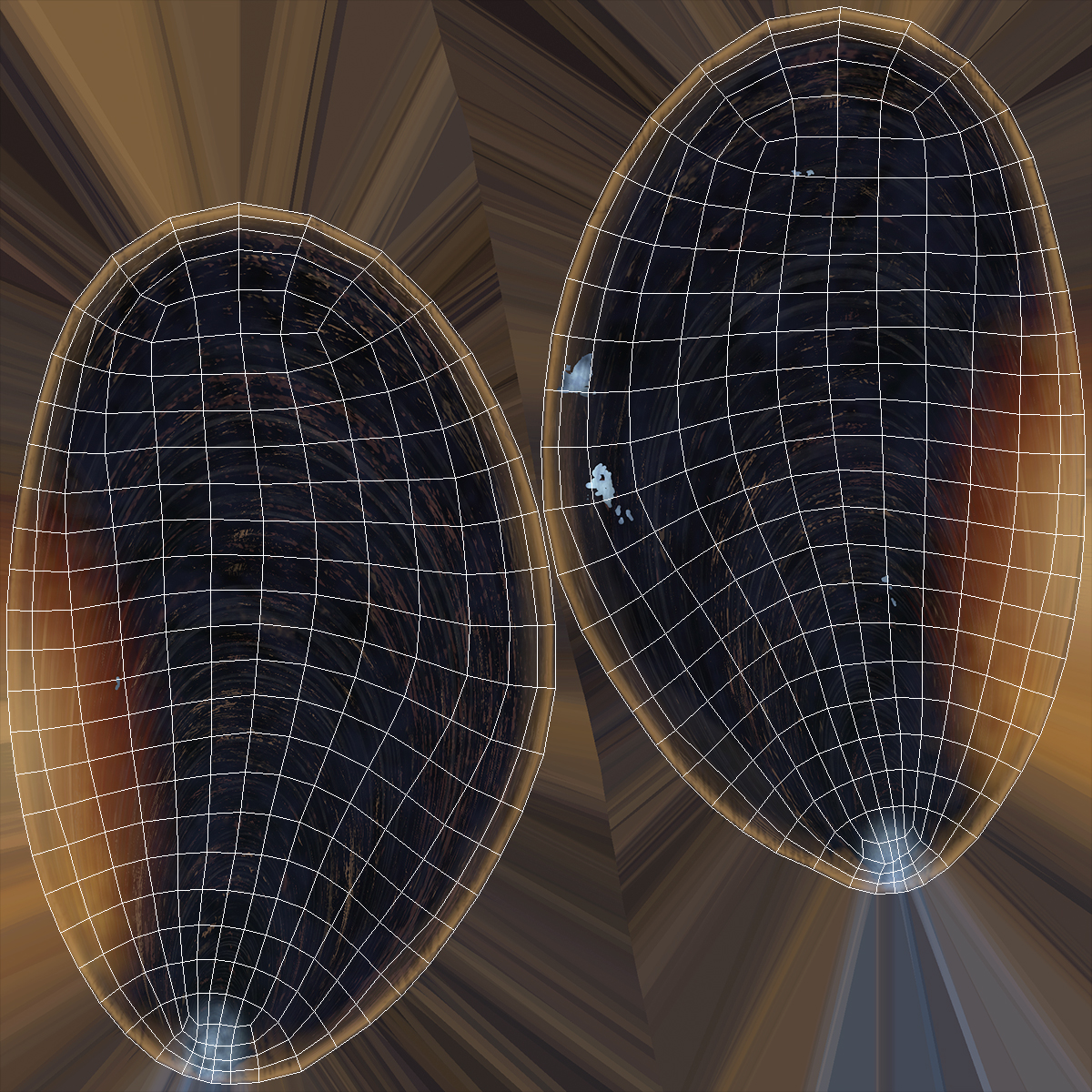 Realistic Marine Mussel Shell 3D model