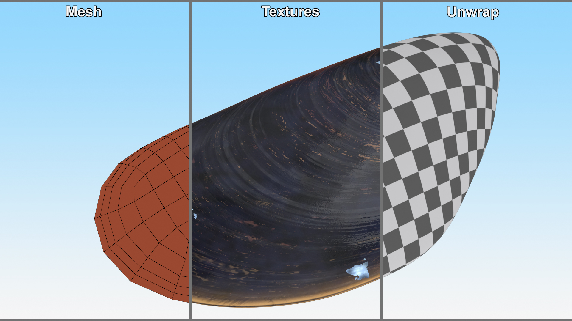 Realistic Marine Mussel Shell 3D model