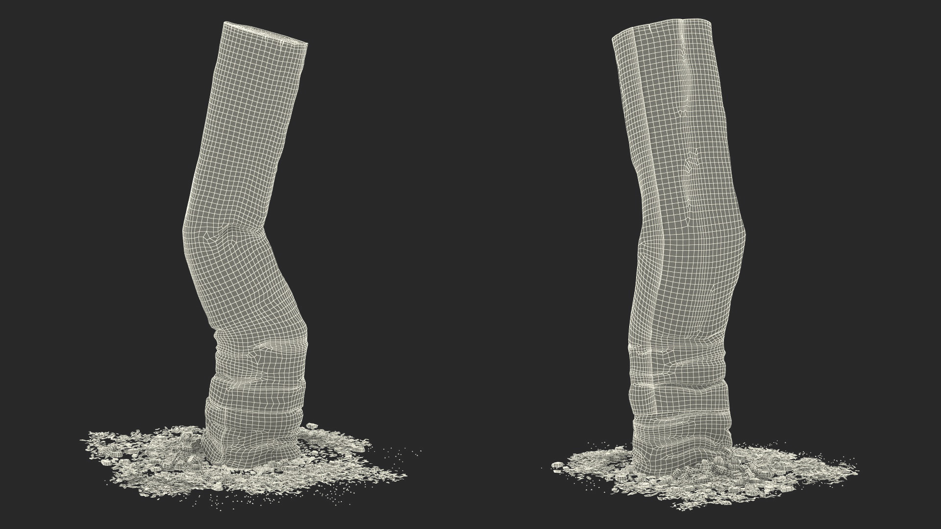 Extinguished Cigarette Butt 3D