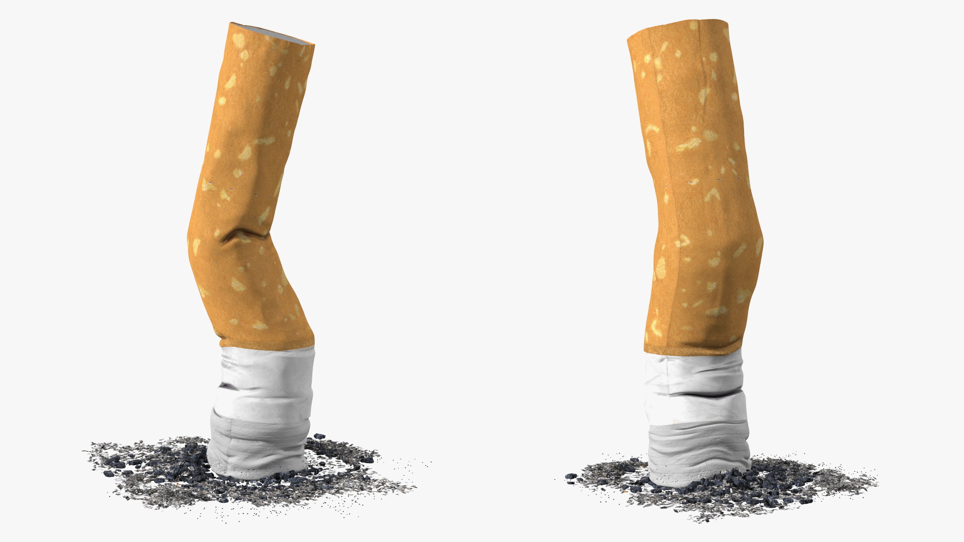 Extinguished Cigarette Butt 3D
