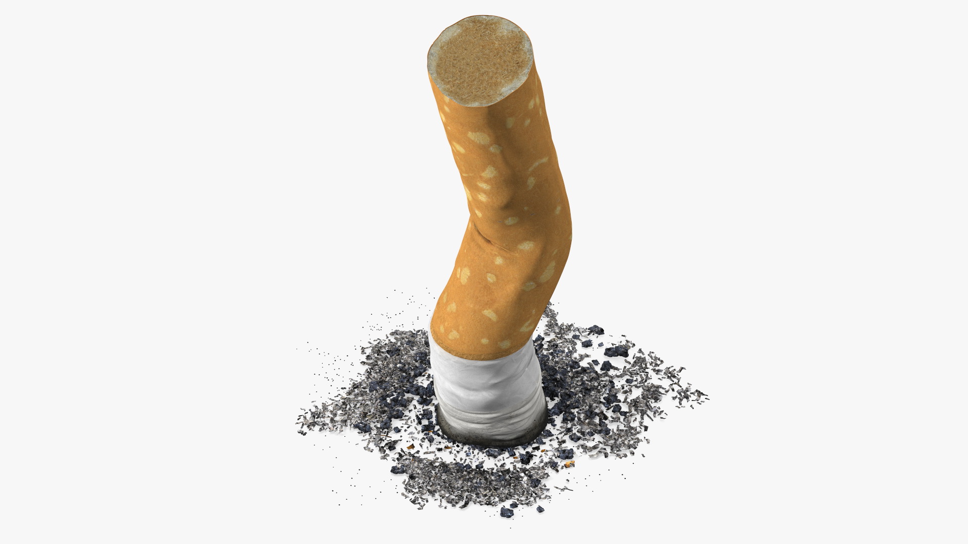 Extinguished Cigarette Butt 3D