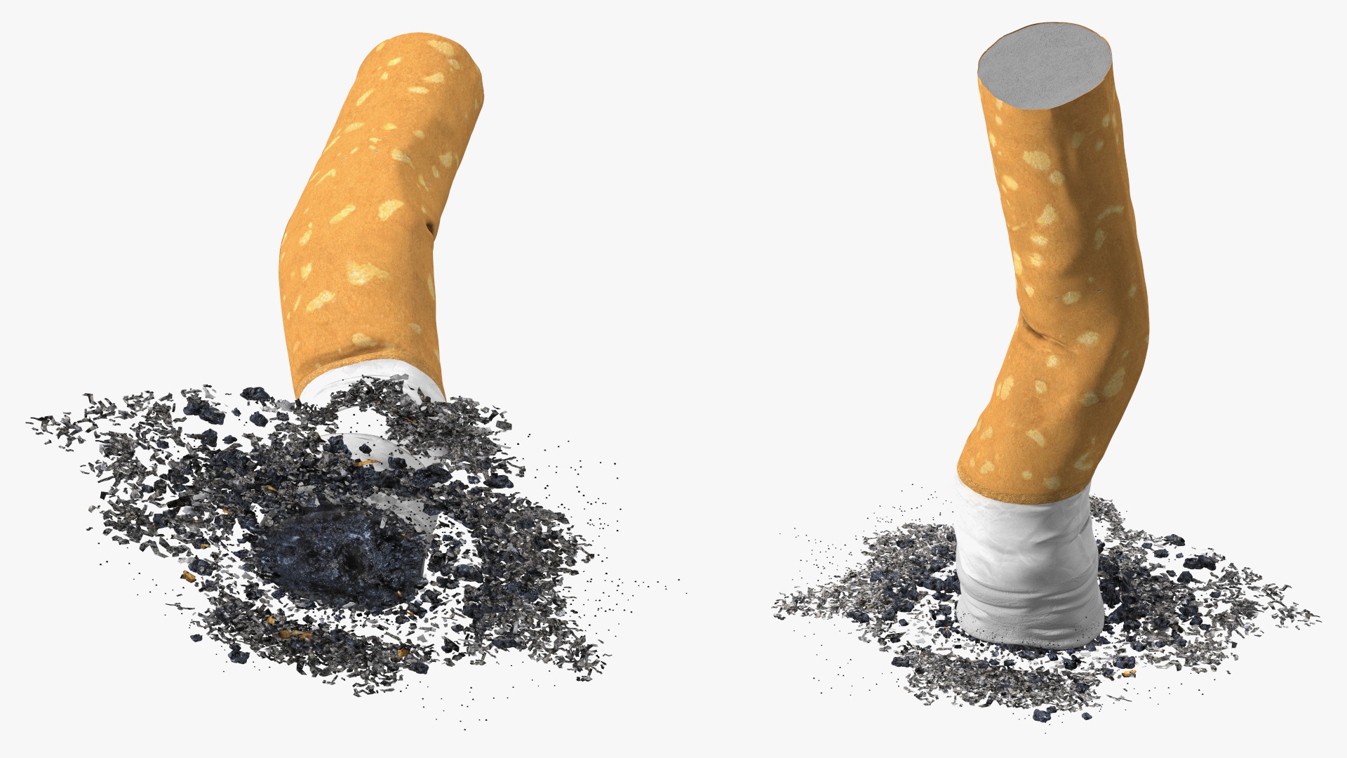 Extinguished Cigarette Butt 3D