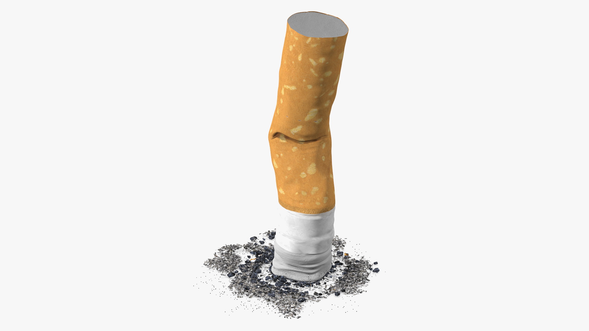 Extinguished Cigarette Butt 3D