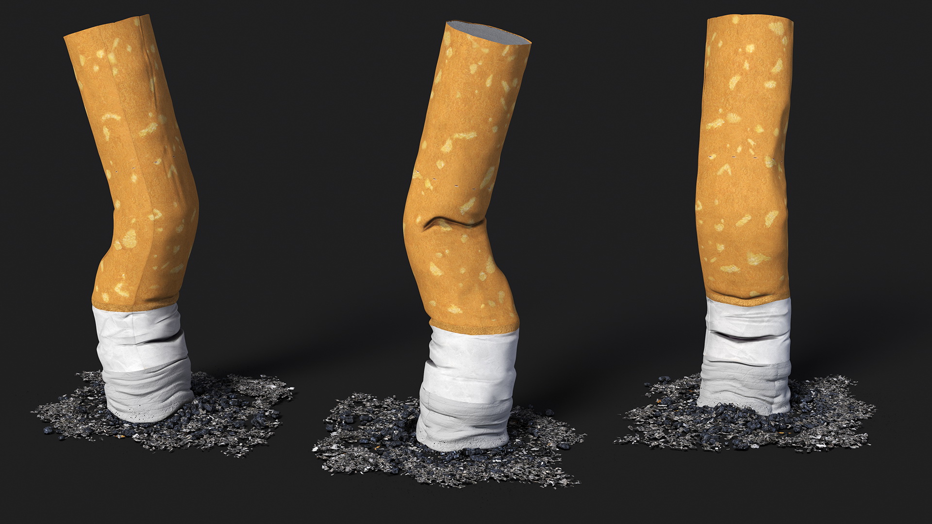 Extinguished Cigarette Butt 3D