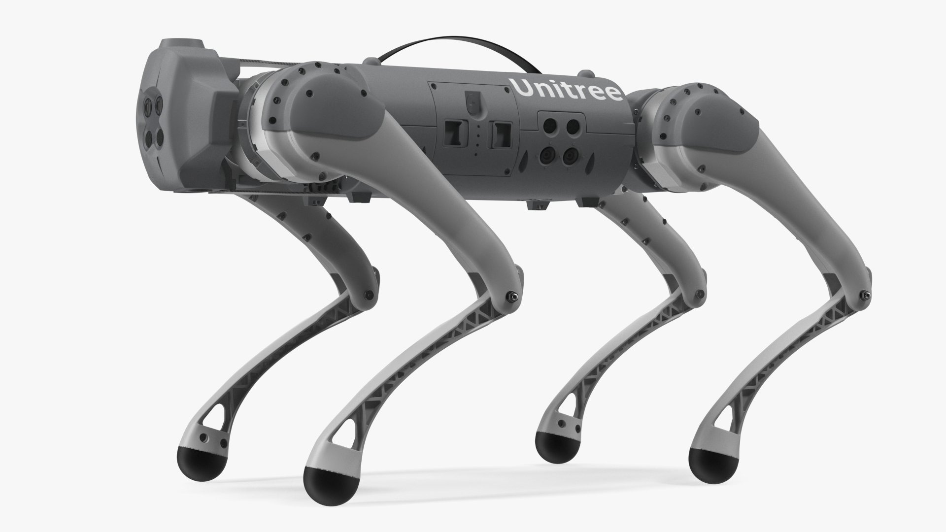 3D model Robot Unitree Go1 Silver Rigged for Maya