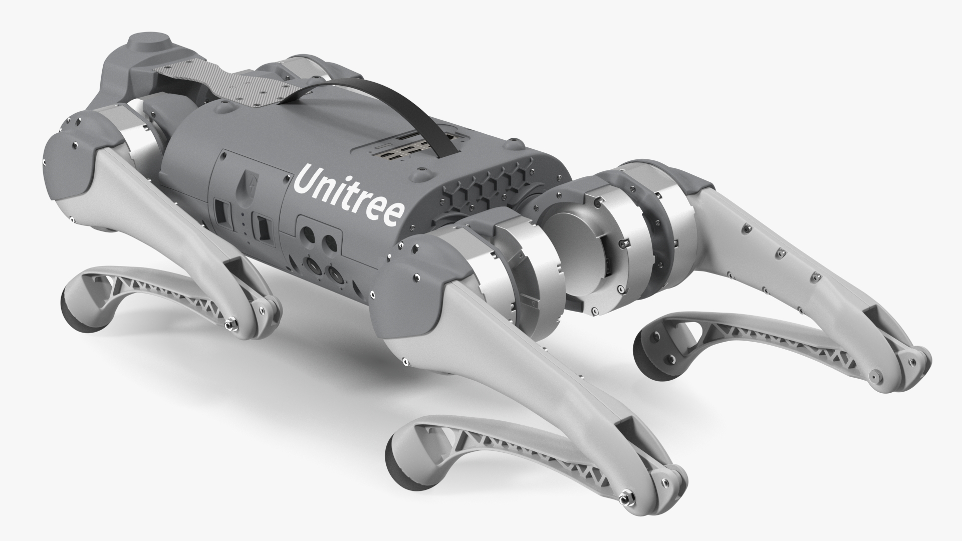 3D model Robot Unitree Go1 Silver Rigged for Maya