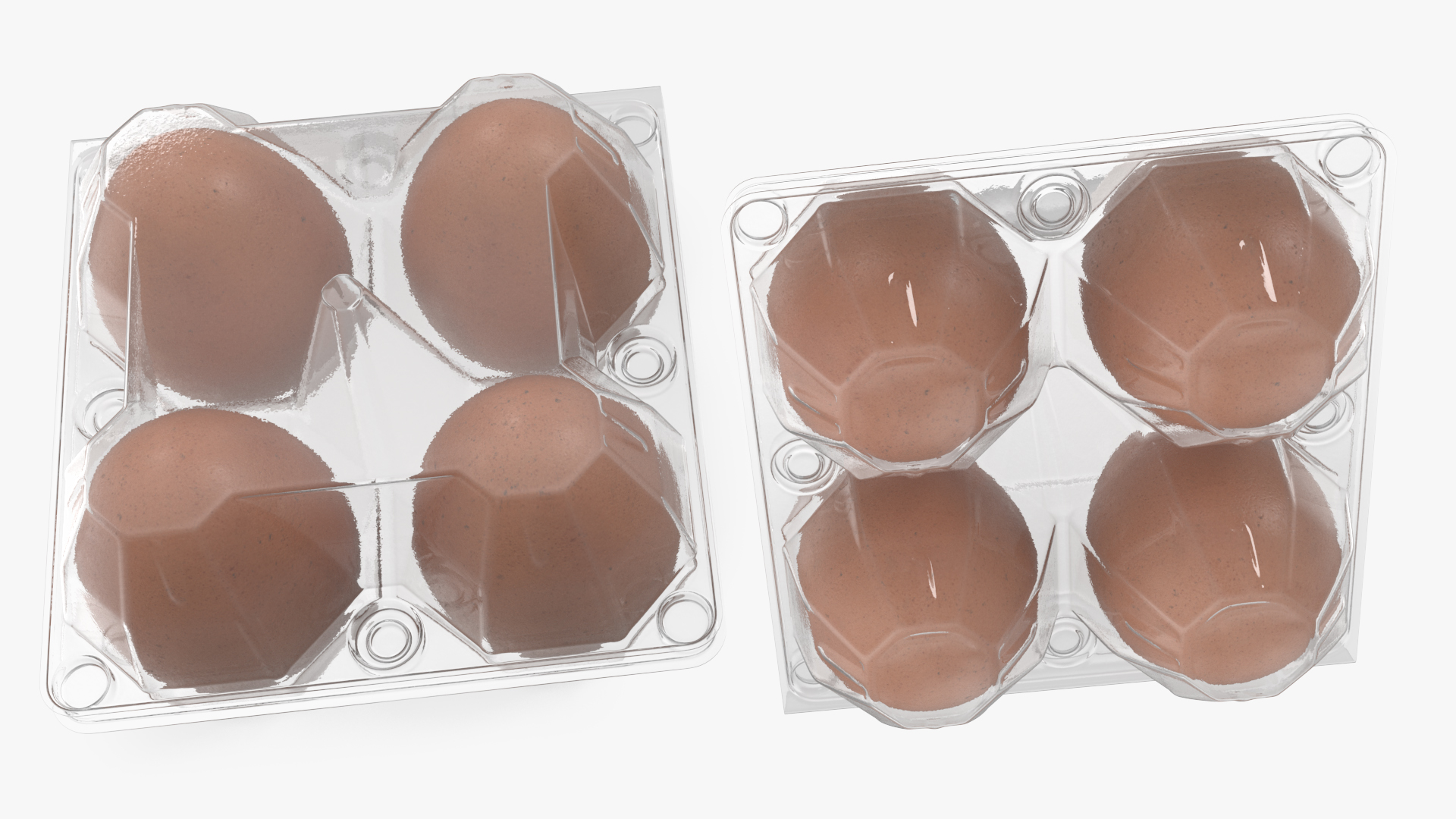 Plastic Egg Tray with 4 Brown Eggs 3D model