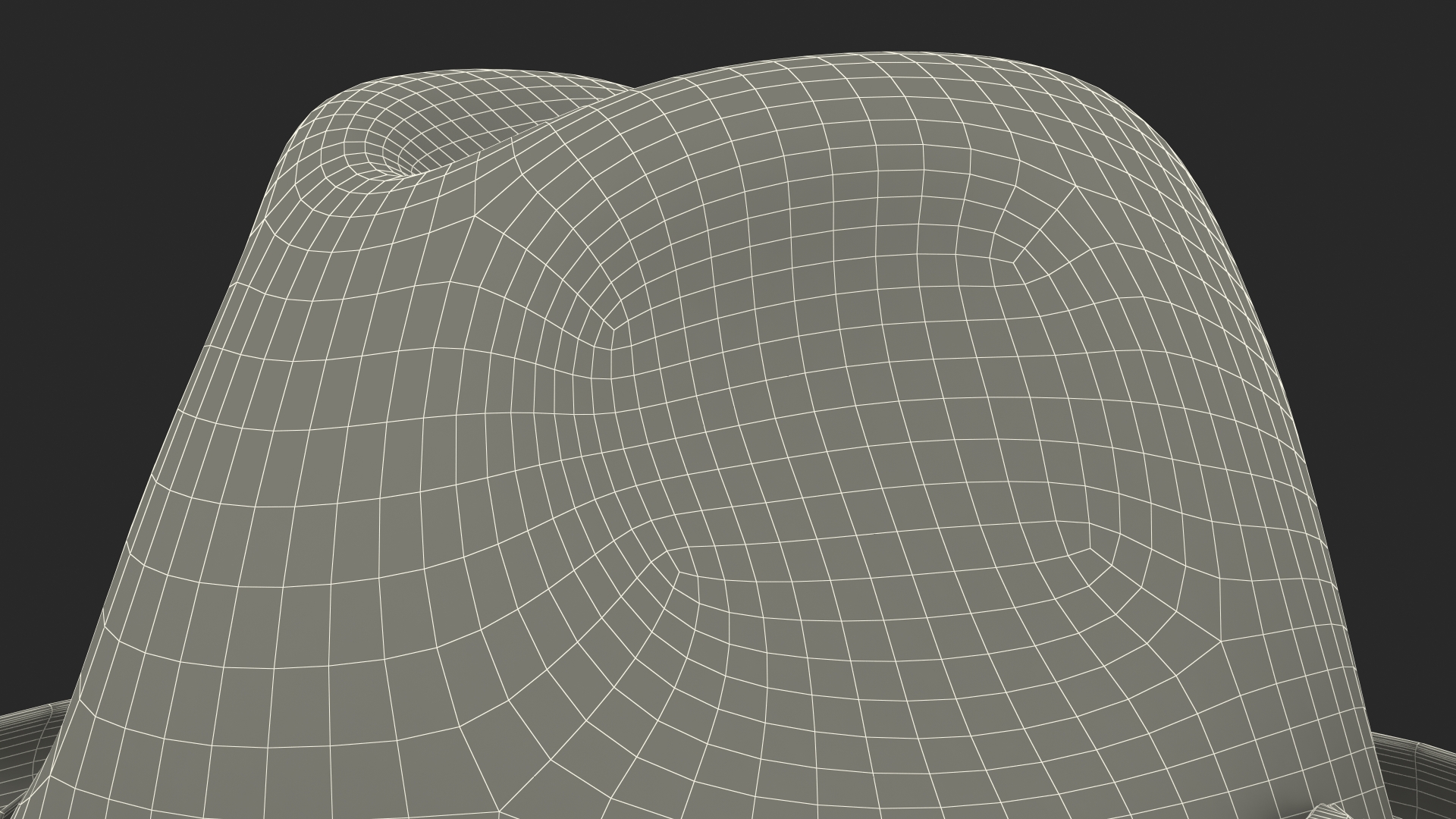 Grey Hat with Bow 3D