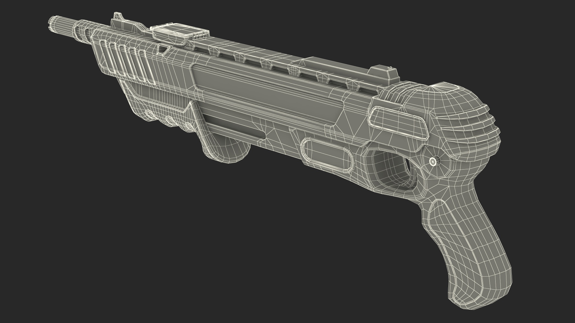 Salt Firing Shotgun 3D model