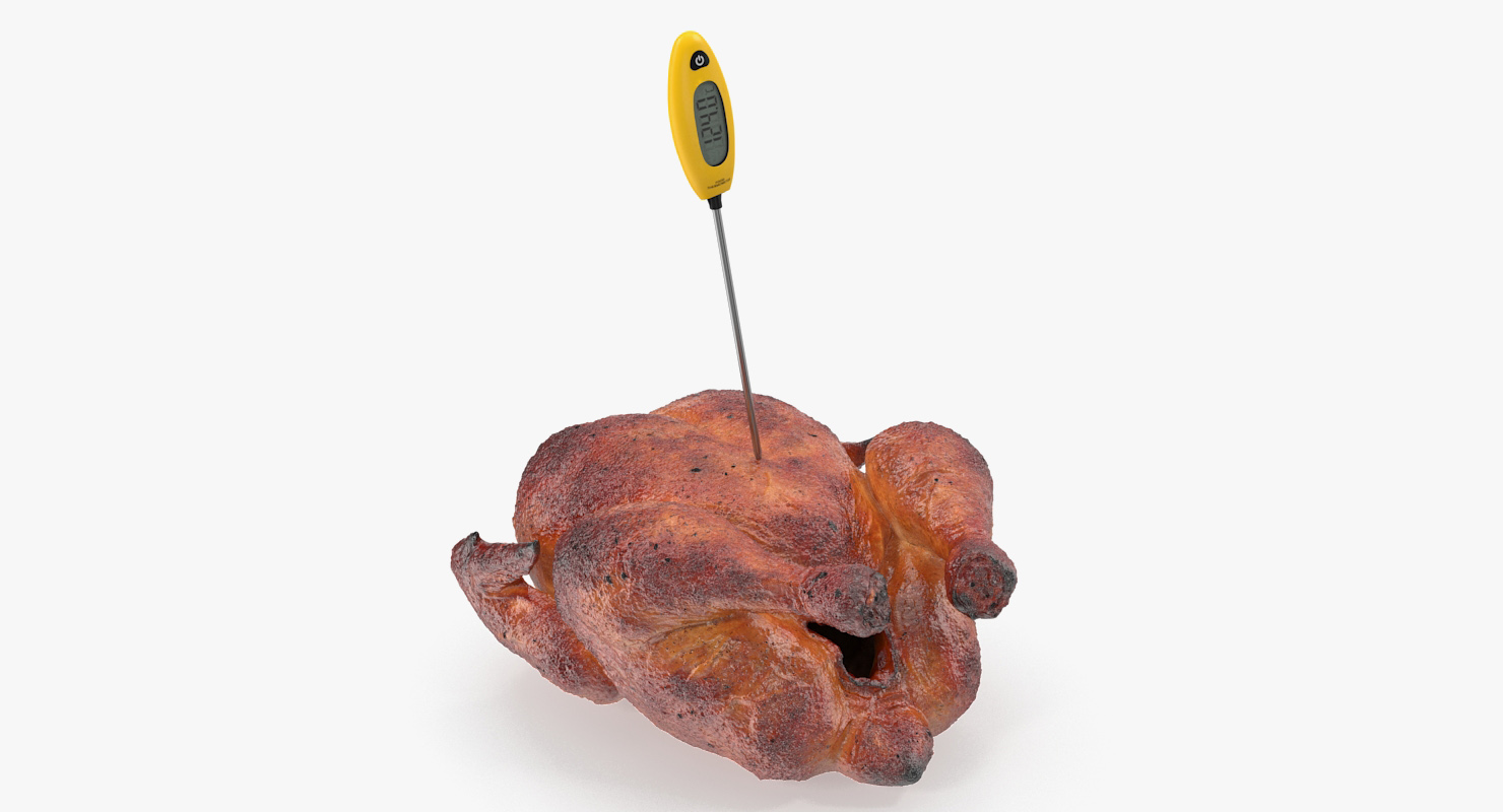 Cooking Thermometer with Roasted Turkey 3D model