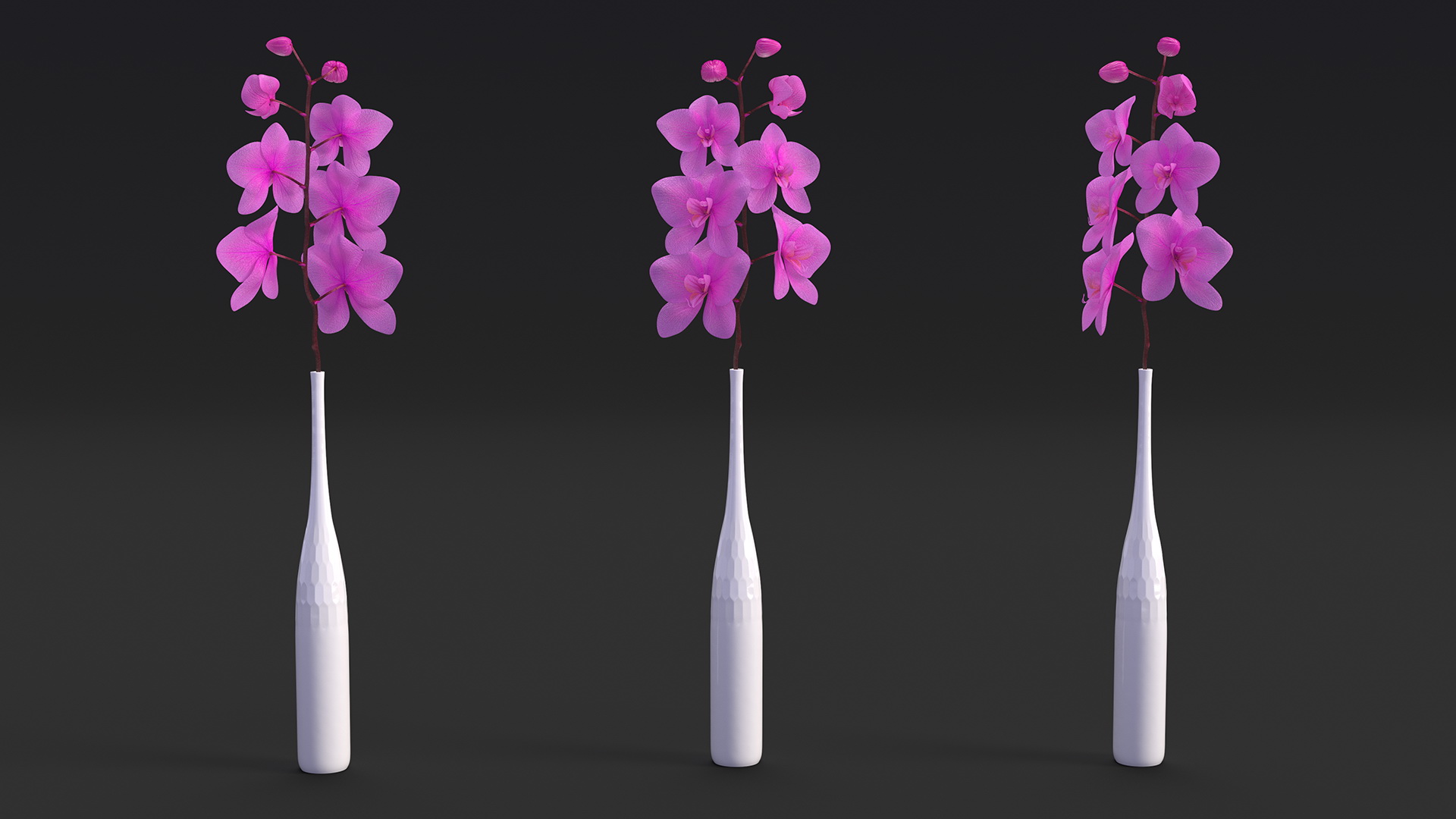 Pink Orchid Stem in Tall Vase 3D model