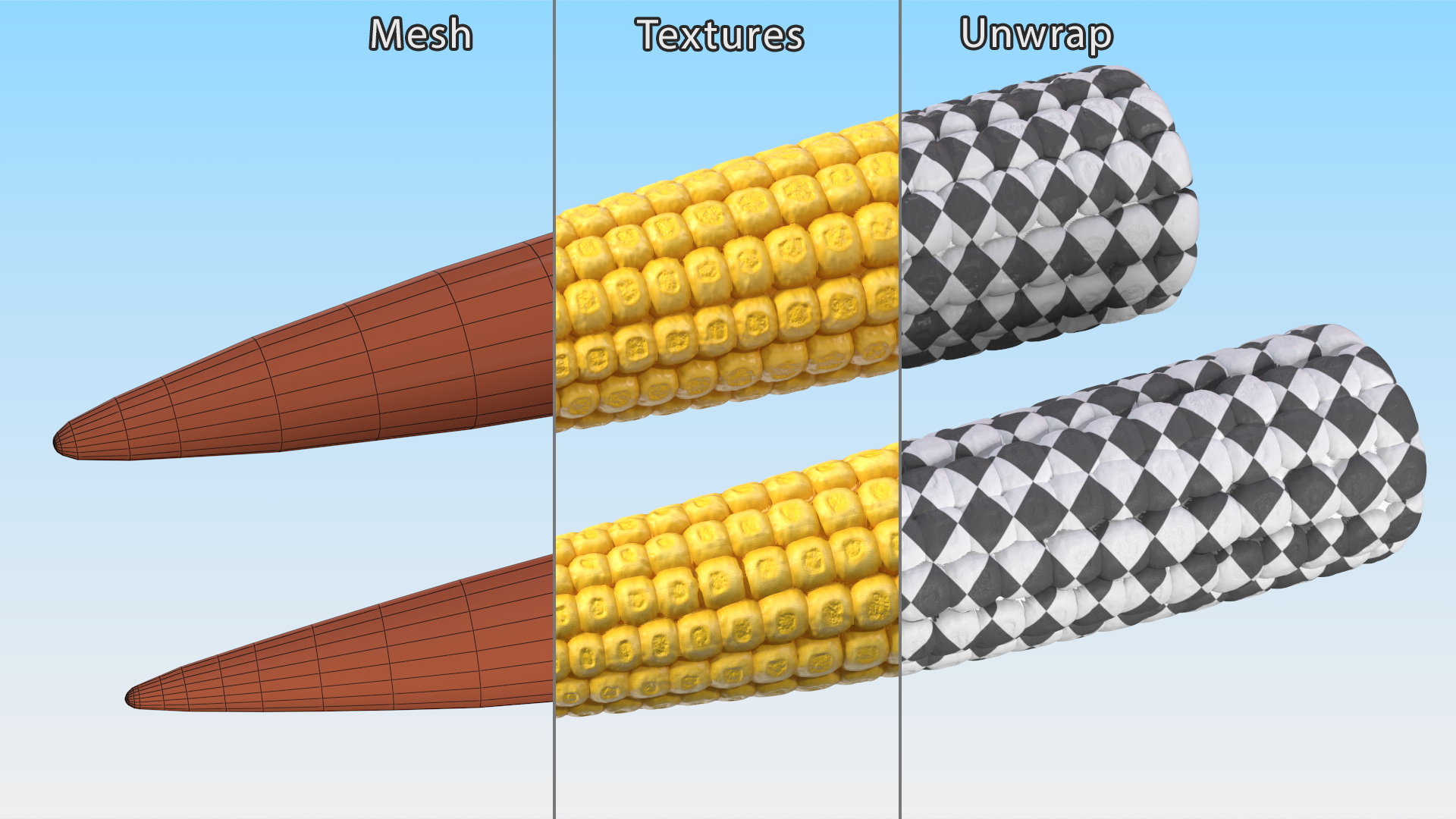 Baby Corn 3D model