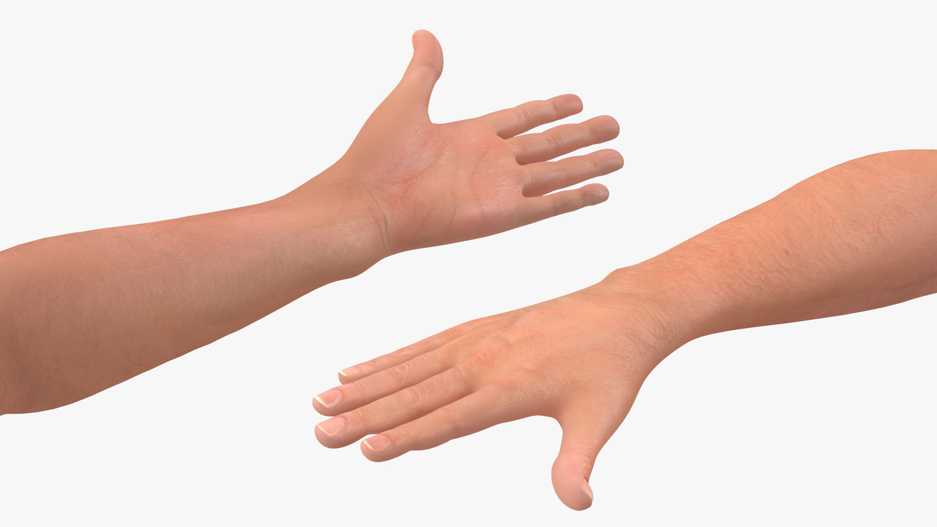 Teenage Boy with Basketball Ball Rigged 3D model