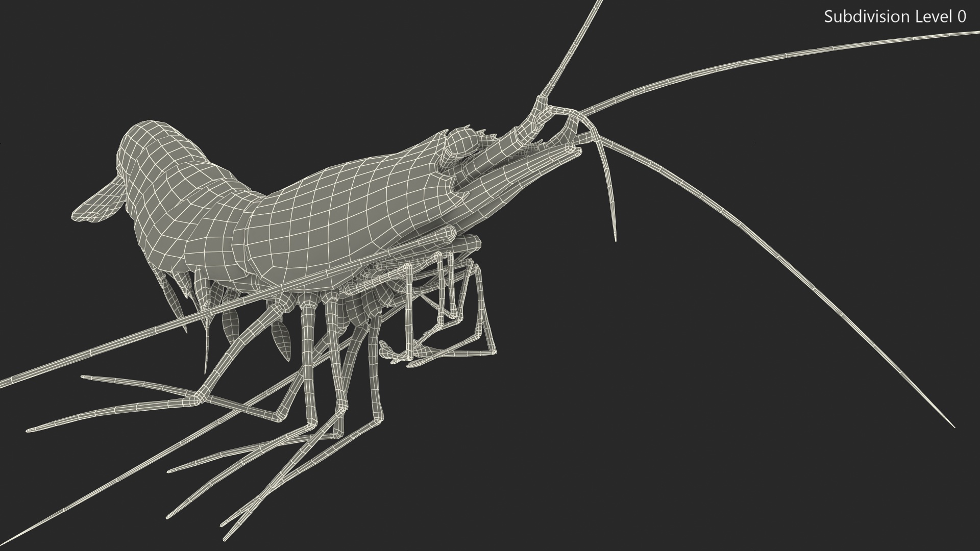 3D model Fire Shrimp Fur