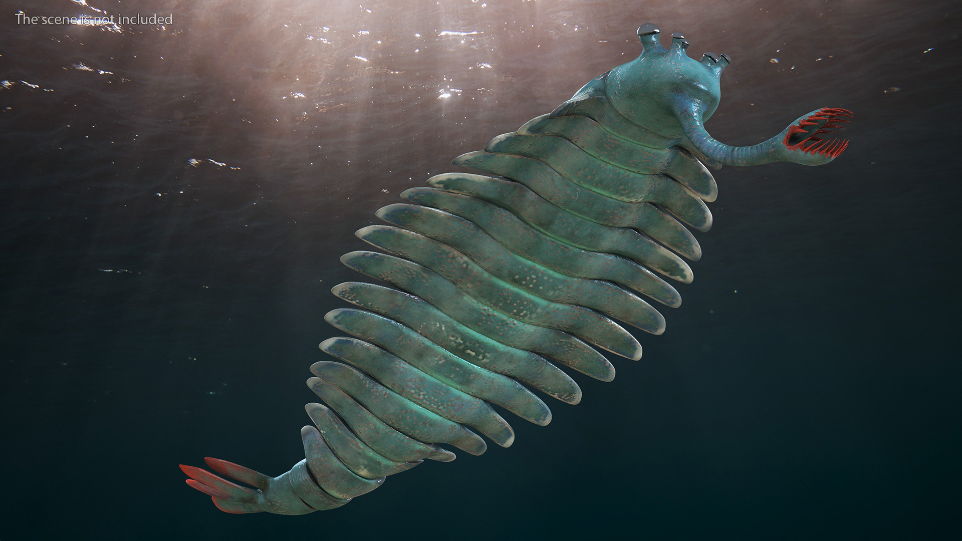 3D Green Opabinia Rigged